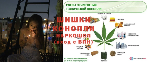 крисы Горнозаводск