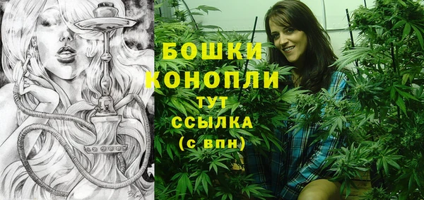 крисы Горнозаводск