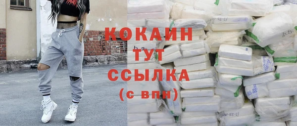 крисы Горнозаводск